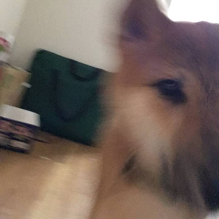 52048179 9d33 4ddc 900a 55b97a829f35