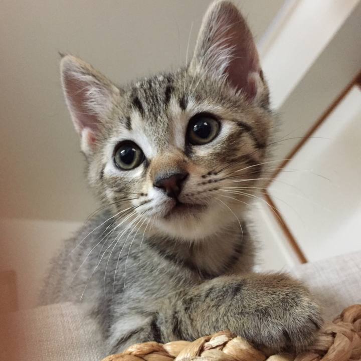 52048206 8854 459c 82f6 3d3602d74ed8