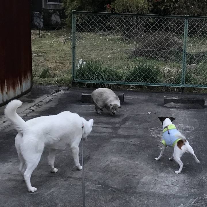 5204e6a8 994f 4f94 92c0 32da504183d1