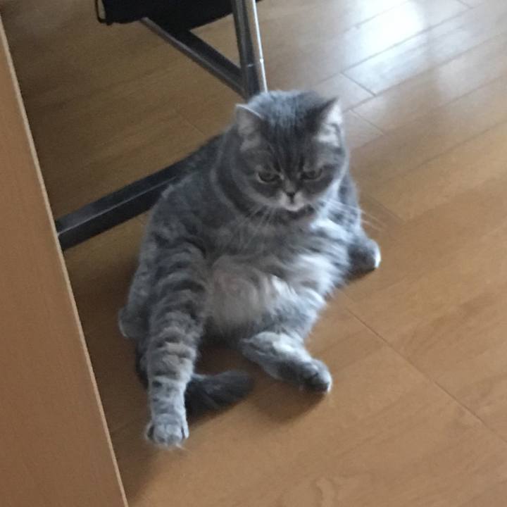 5204f1d7 5885 4eae 9e8e 45dad3b14c03