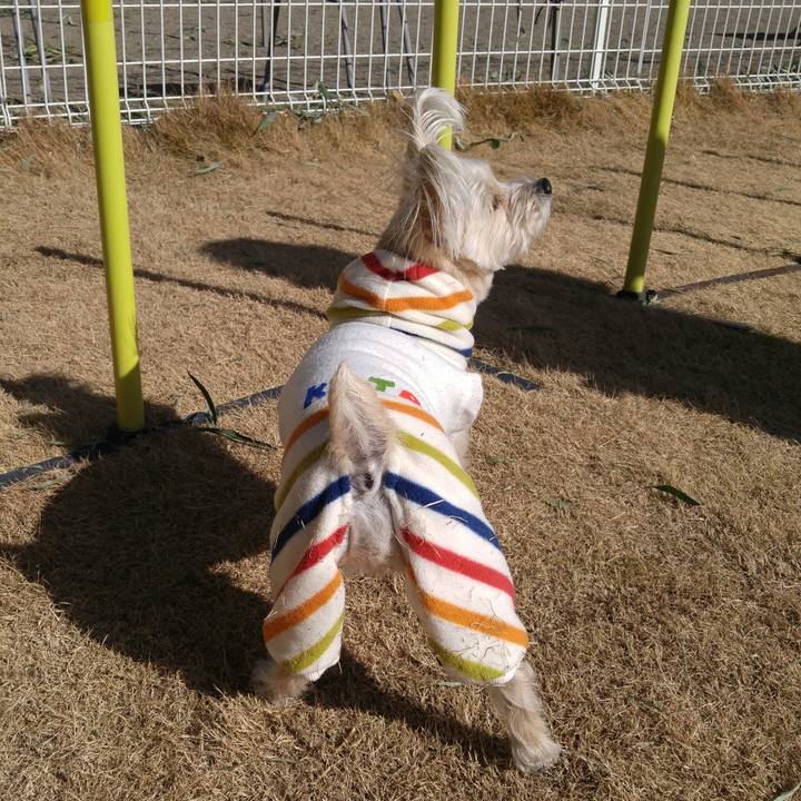 520579e3 124d 445e bf30 73ba61bf211e