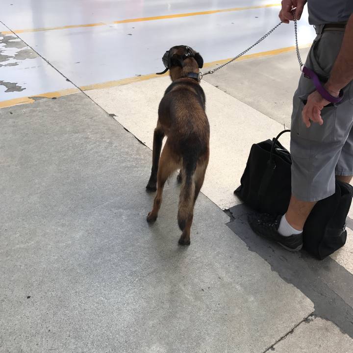 5205cf63 b0fd 4d7c b363 cc97f702e0ed