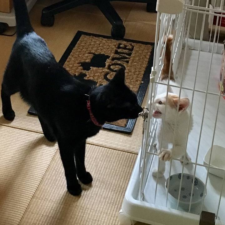 5205d7f1 fa5a 4779 a63f 4cde5189fbfb