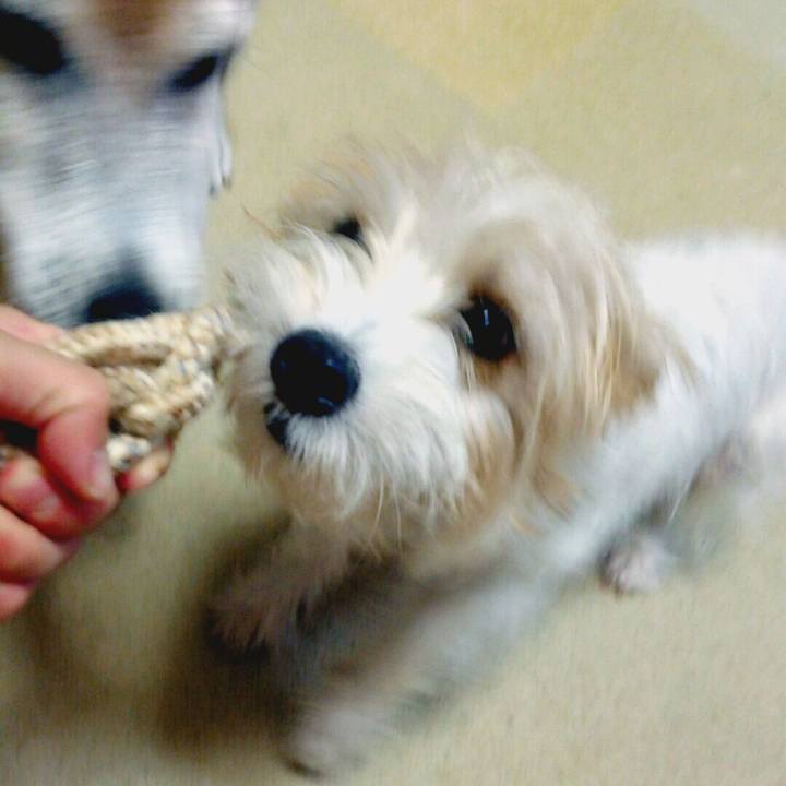 5205df61 3d8e 4d3d 9052 3dbf333cf8c0