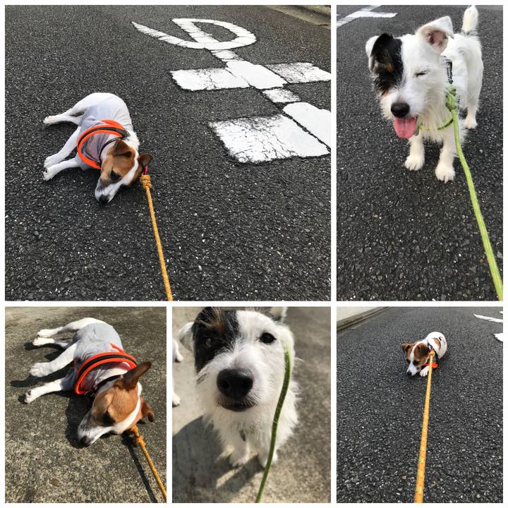 5206140b ccb8 4605 a363 8fb65c13a0f7