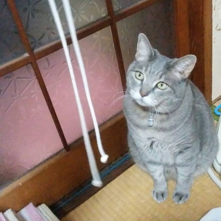 5206be00 af35 49f5 9605 60f4df3c574f