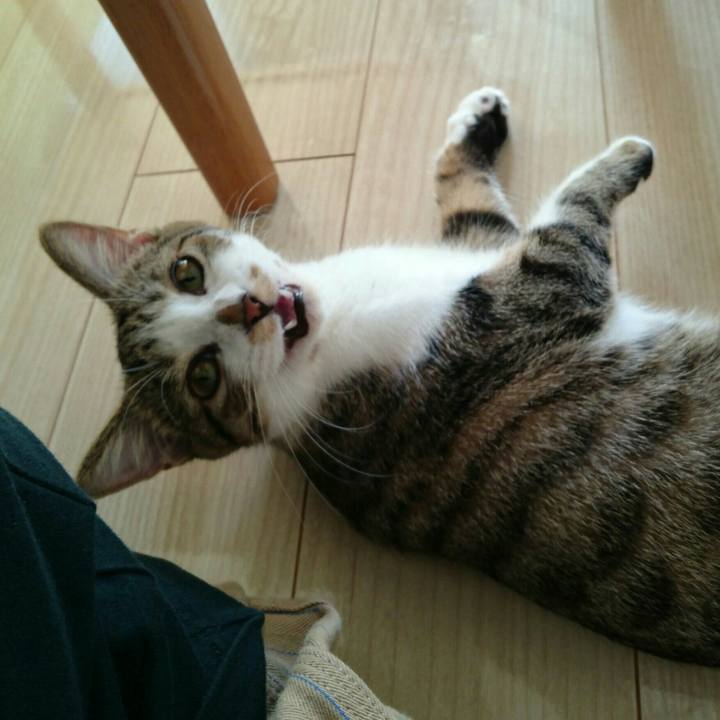 5206fa6e 9ca6 41e5 8d56 045f5843123f