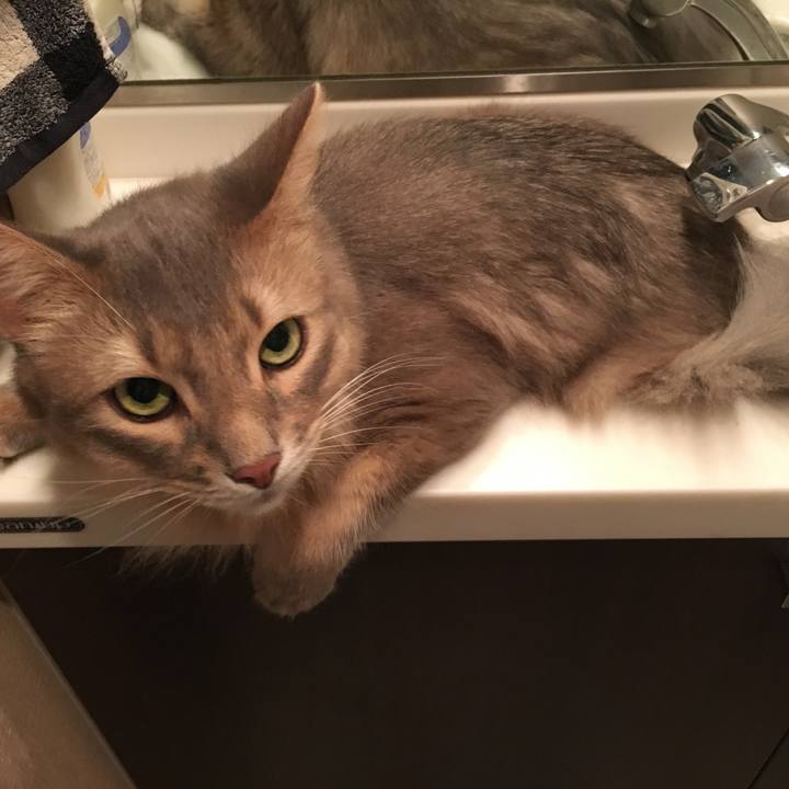 52073112 bb80 4197 a8e4 911e90edbdd5