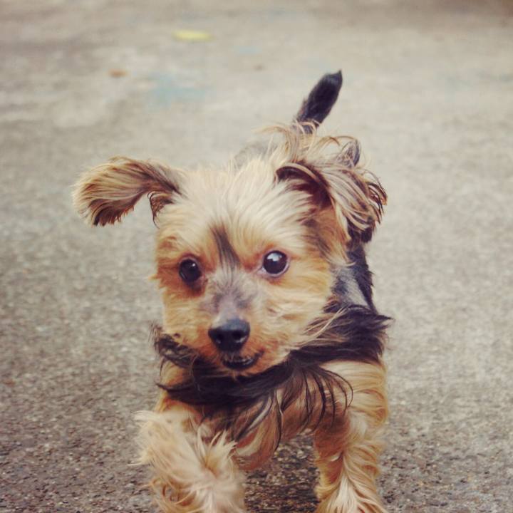 520769df 9611 4fc3 be2a 6c721c9800bb