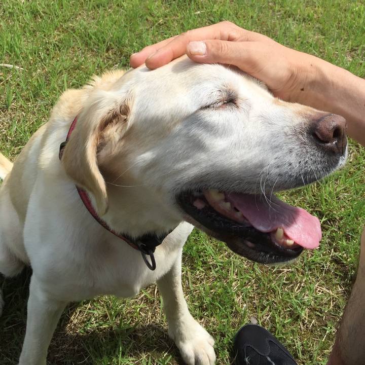 5207713e 9a72 425c 89cc d2a14947ade8