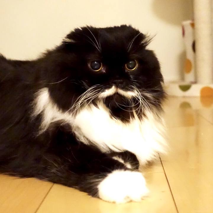 52085663 884b 4d64 8958 b1198de2cfe7