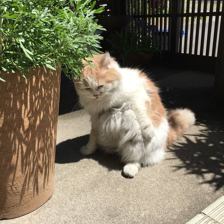 5208bb93 ee91 49ff bcfb 43b9a11b7929