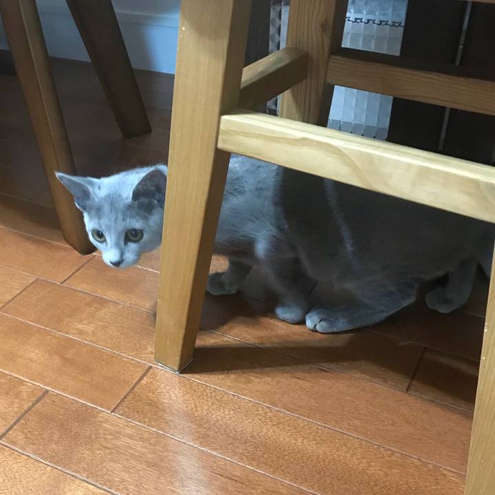 520905bd f0e4 4e93 82ab a9161c8af8b1