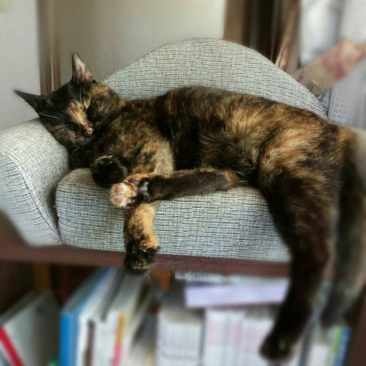 520957e5 b0a0 4ae2 9b2b 304e2789036f