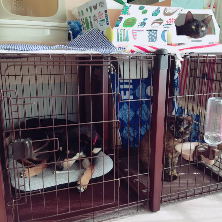 520981f1 d2ef 4883 8d6b ba47591e96f0