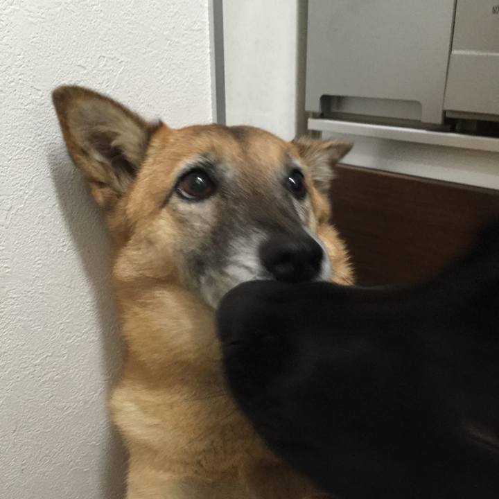 52098a6c f617 4b6e a719 46d053c41b16