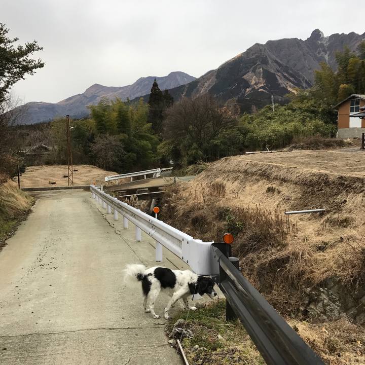 520a9722 90bc 4243 90a6 1d1ede848b39