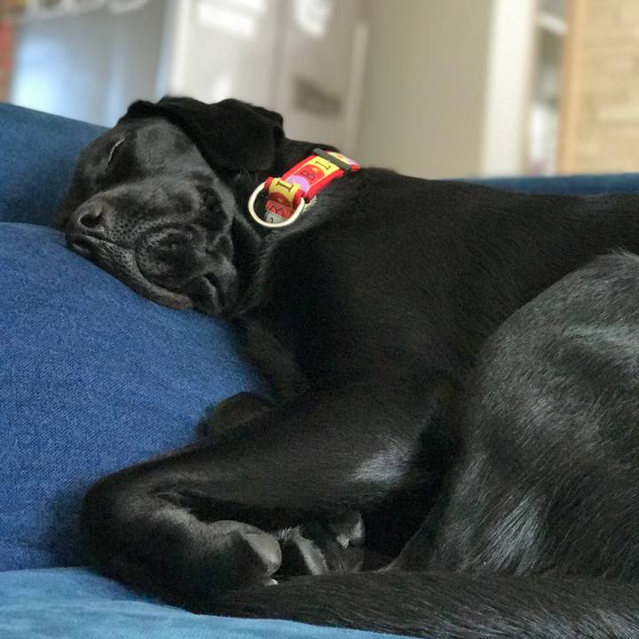 520ae14e 440a 42aa 9153 01119ed7797f