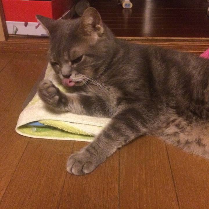 520c62ad 0dc7 4ae4 a362 e4b8653a9e16