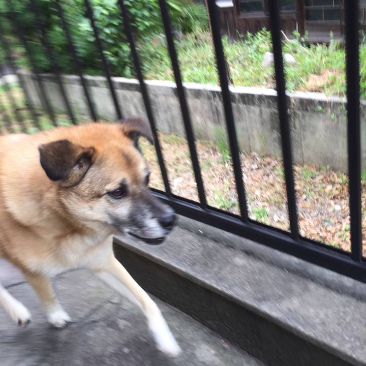 520cc6b4 b744 4ae3 9116 3712f9af86d6