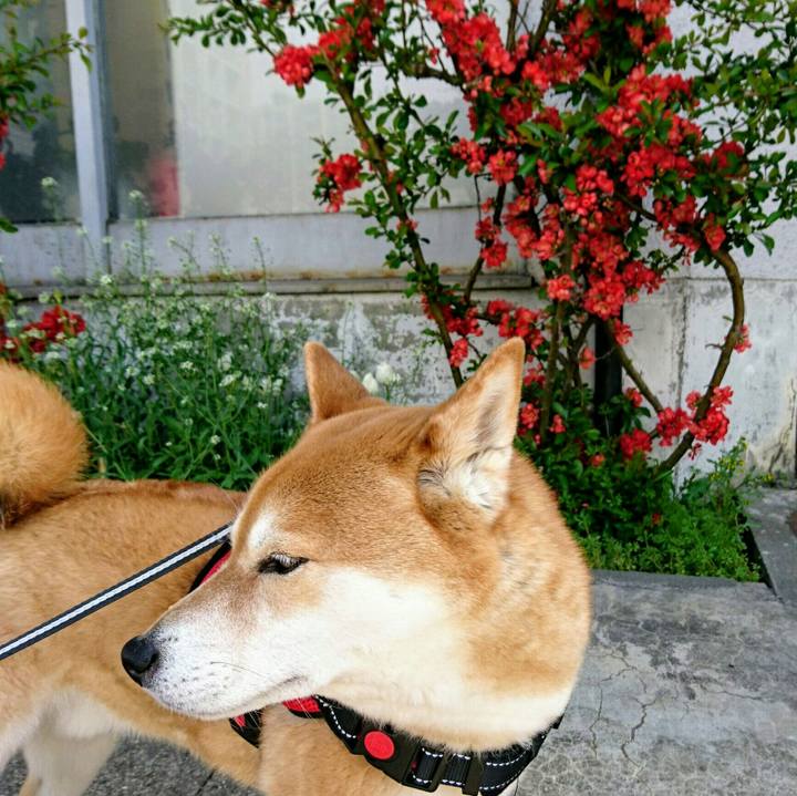520d1940 a4a8 4072 a786 85429727091e