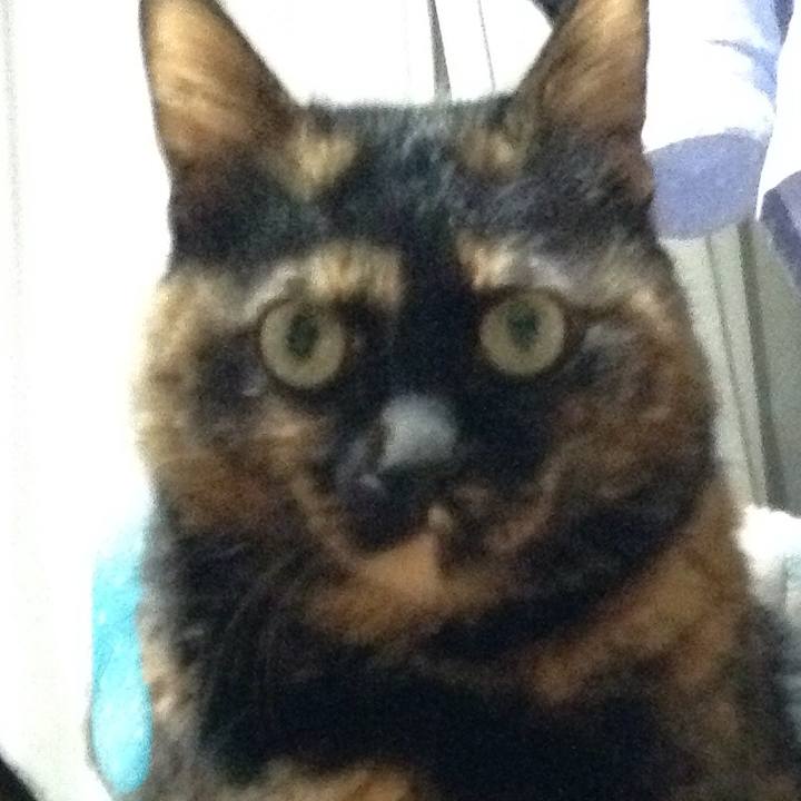 520ddf73 99aa 4a20 ae2c a34c81a21c7e