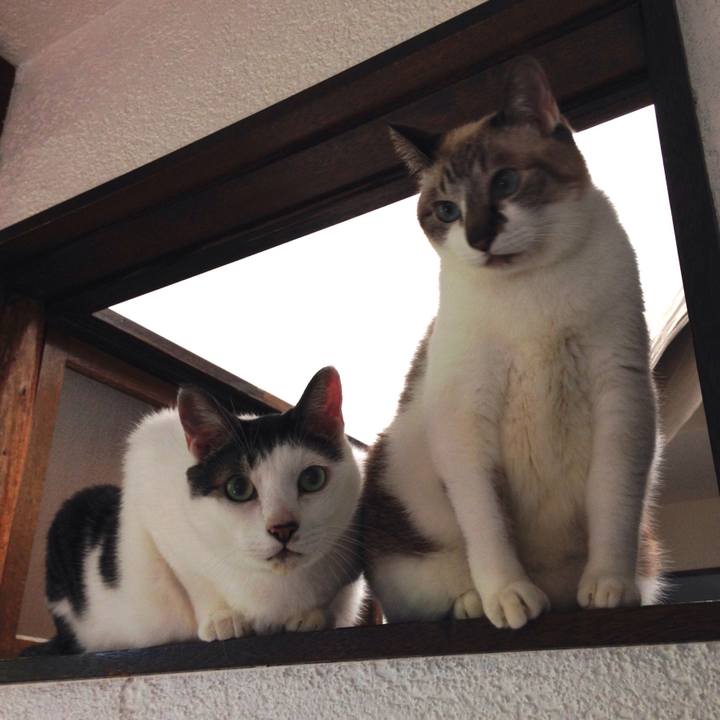 520df03b 09ea 4736 9e30 4c3060538256