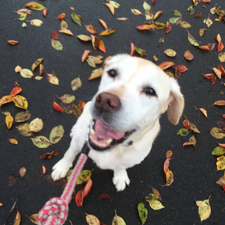 520e1604 ff9f 46ac 8dbf 78071f020c74