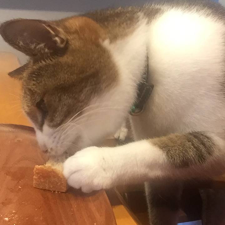 520e388e d712 4754 a6f2 2328d54bd6c3