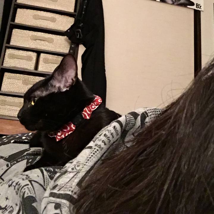 520ec588 53c9 43f5 917b d2467ae5bed5