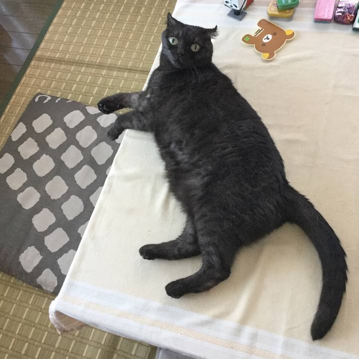 520f4c2d f7f9 4bbf 8c0b 6d3e2ddb78e3