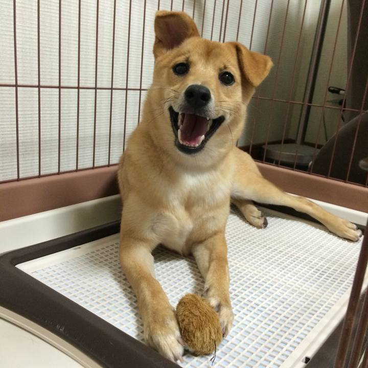 520fcaa0 6e71 489b b97c 65321f4d5b80