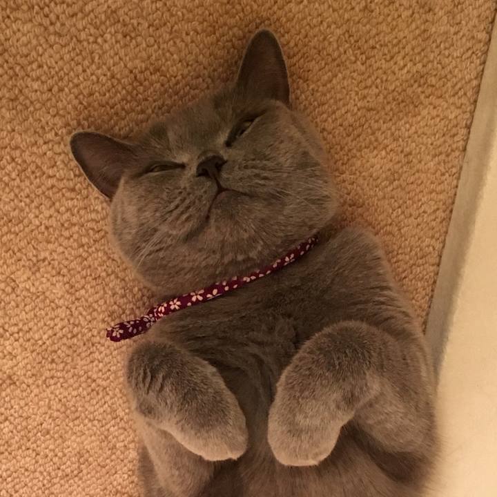 521000c4 ae01 48f8 8f4e 41ee42a29716