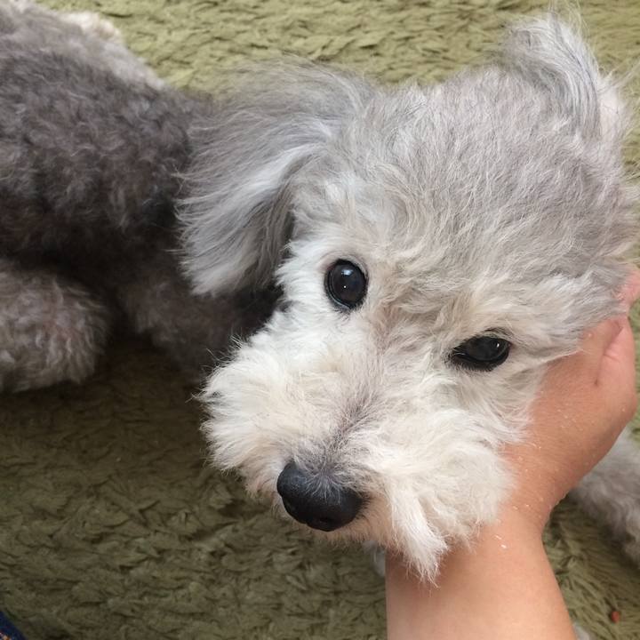 5210112d 84de 47f0 b836 213d9f8cfd51