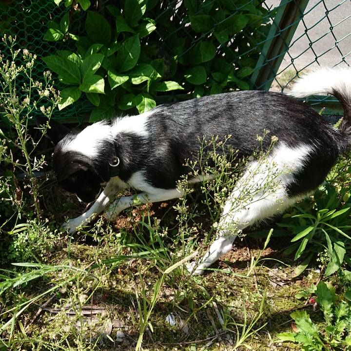 52112c80 0077 410d 9f38 115f2b4e4770