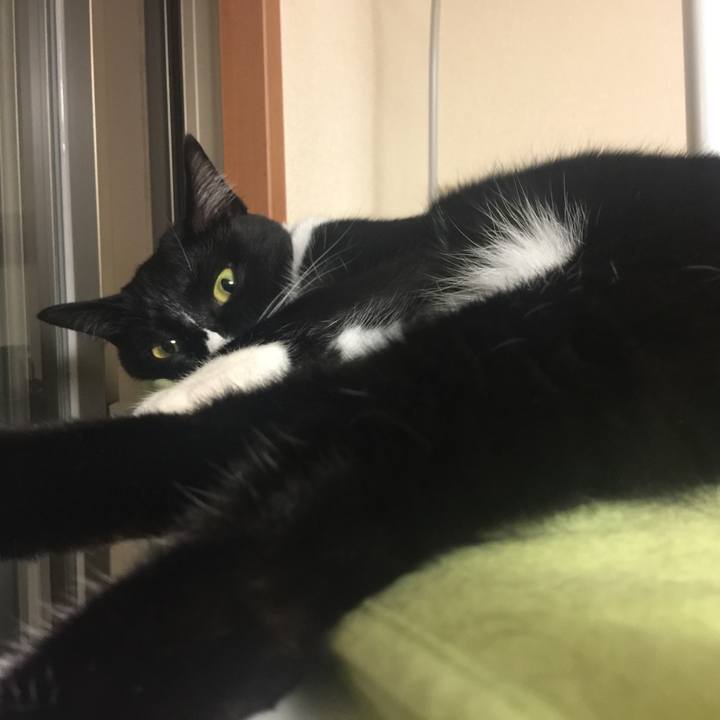 5211cd49 cb3d 4114 94b8 f4d24b652dd3