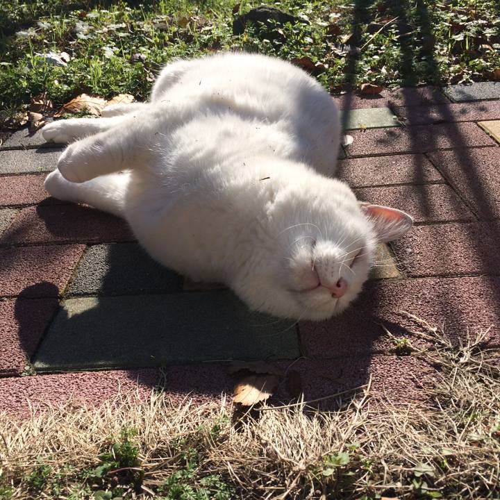 5212de05 55e0 46e2 98ef 41a8048cad6b