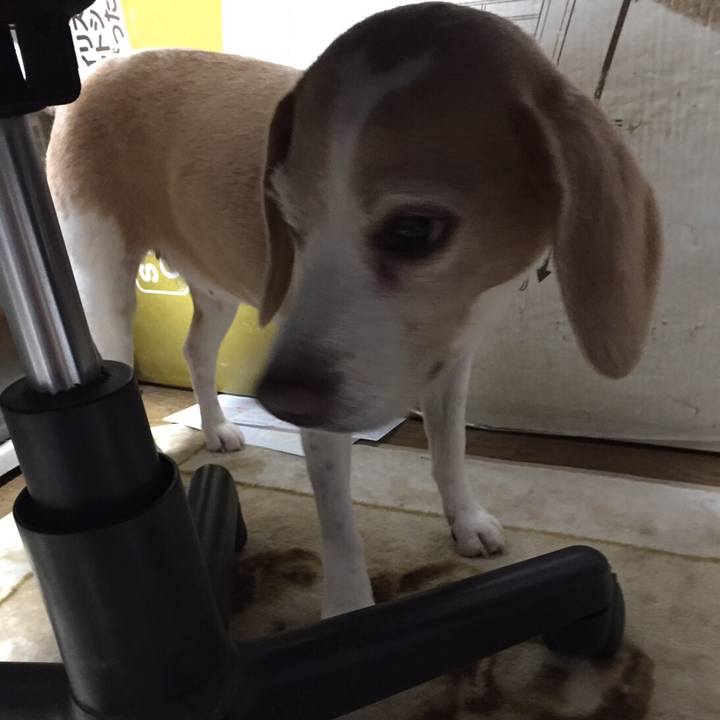 52130933 ac68 4eb0 8098 3cfc799ddc72