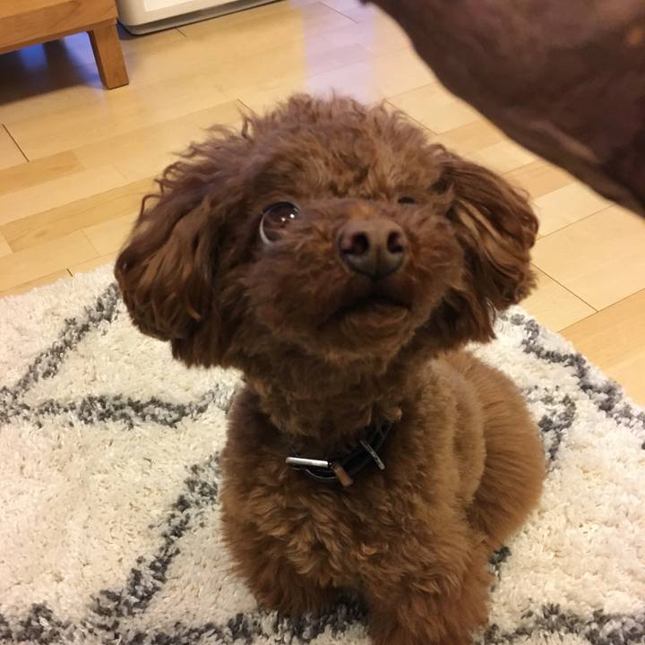 521310f6 7dd3 4e5b 84a7 fb2c5e346bde