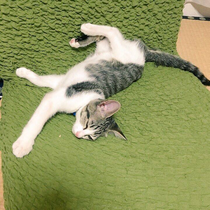 5213660b 9e92 482c b1d1 794d814e708b