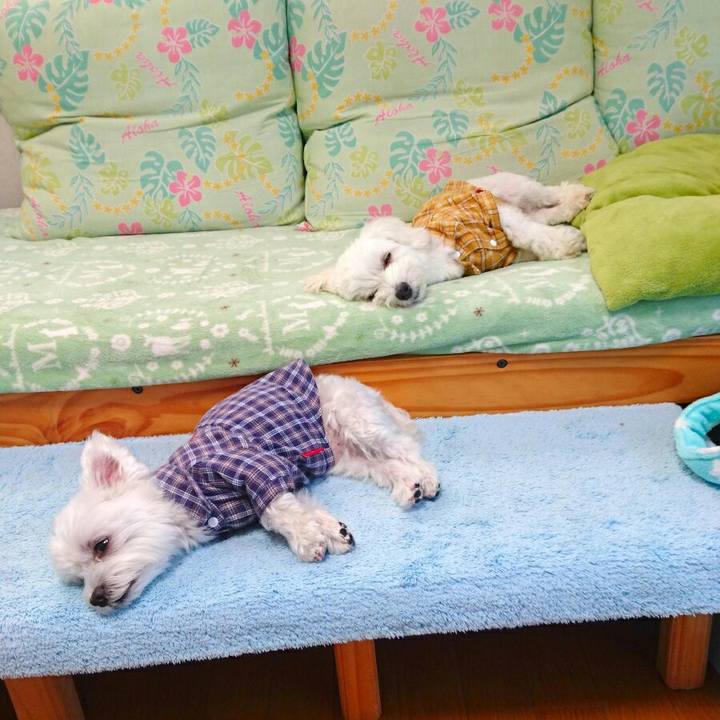 5213834d 5738 441e b5ac 1f1afc755592