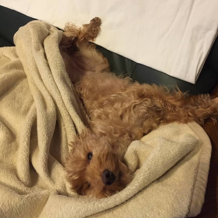 5213d1f0 9b9e 4e2c b2f4 248ad9477f7c