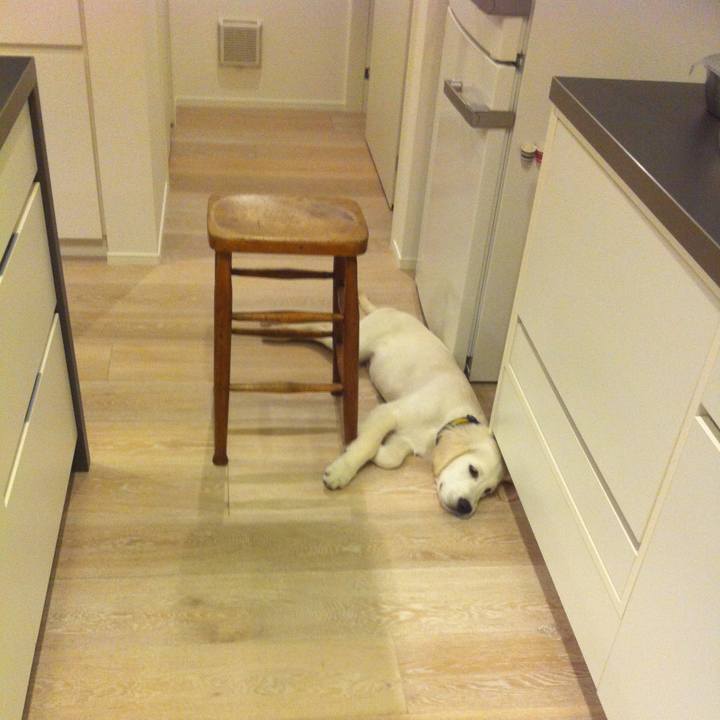 5214bfa9 97bf 4c2c 8817 44650e2c85b7