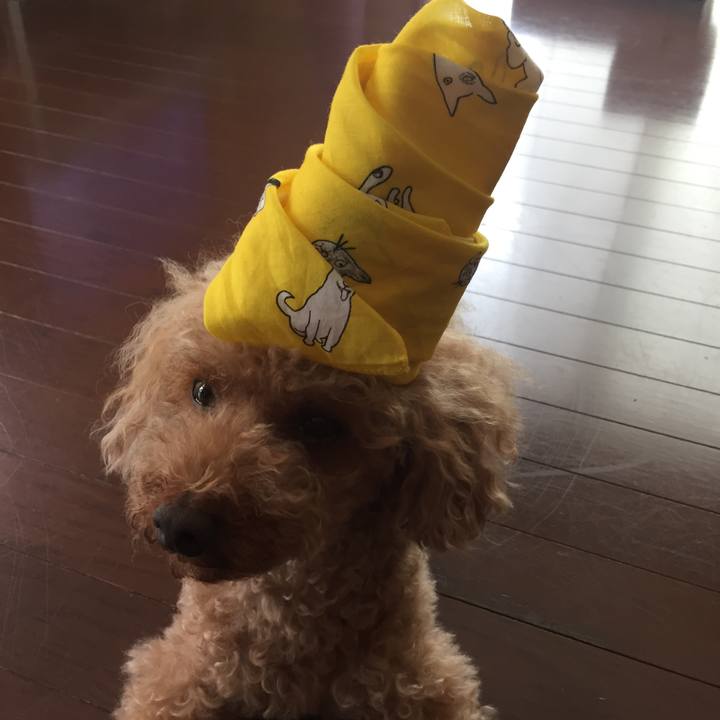 5214c1a3 7f7a 49d4 a215 ec287b561e21