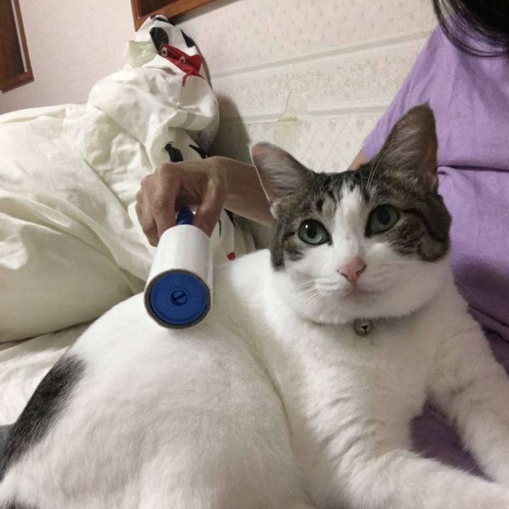 52158b32 f7e7 4a99 b569 ae9c772bd834