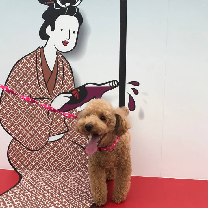 5215cf96 79df 4082 bf1b 6df4dfa74992