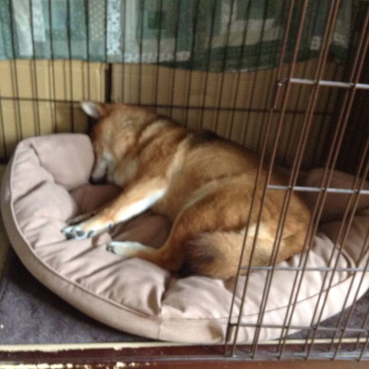 5215daf5 1aa7 473a 89ee 575dee25b094