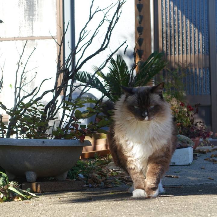 52168980 4854 43a6 b8bb 8a28918ca459