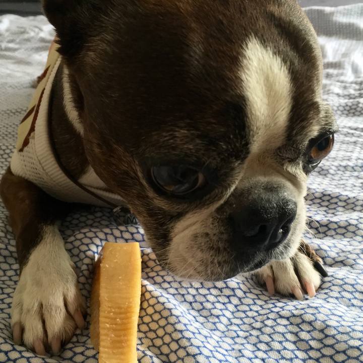 5216de5e b4cc 499f a1a3 baedec9808c2