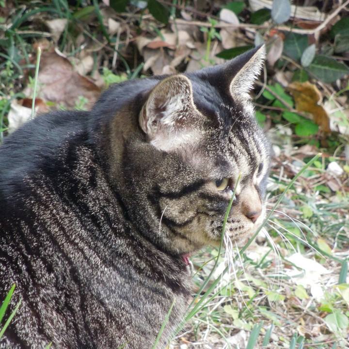 5216f647 9efb 4b55 897c 13ad81e4fe50